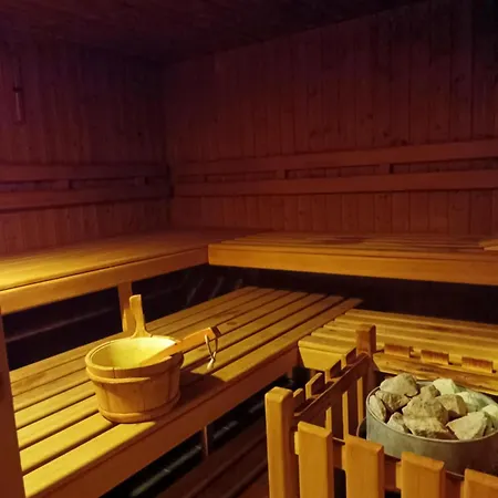 Pool & Sauna Wellness Charming Swiss Style Chalet! Apartament Salouf
